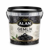 ALAN GEMLİK SİYAH ZEYTİN M